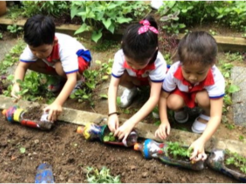 “Our Little Tots Garden” • PCF Sparkletots Preschool @ Marsiling Blk 32